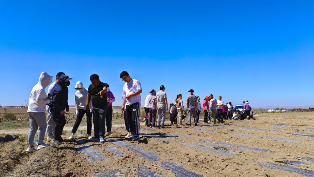走进田园 播种希望|w66国际·利来(中国)最给力的老牌物流春种团建活动