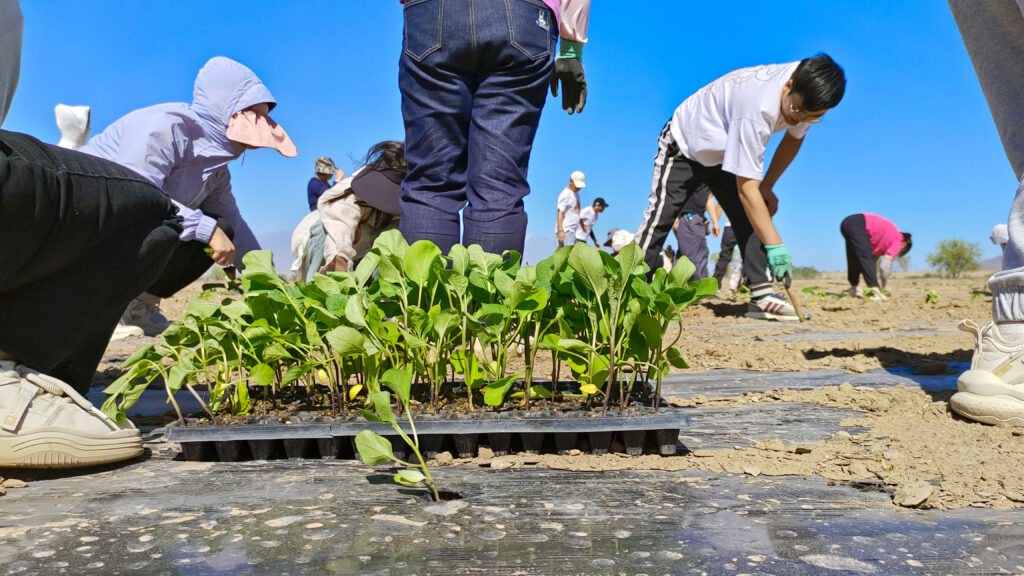 走进田园 播种希望|w66国际·利来(中国)最给力的老牌物流春种团建活动