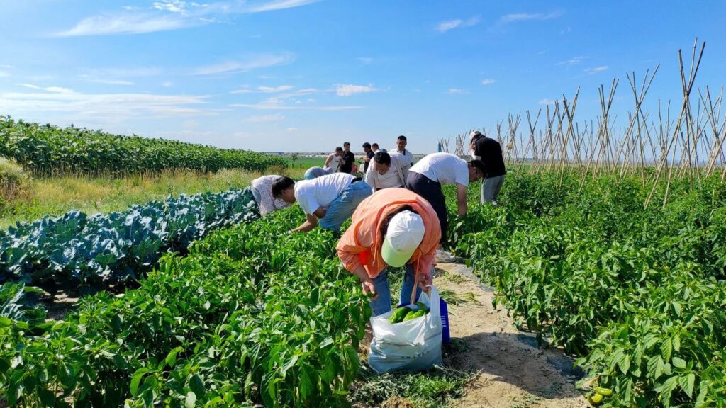 夏日最美群像 | w66国际·利来(中国)最给力的老牌物流2024年中团建特辑