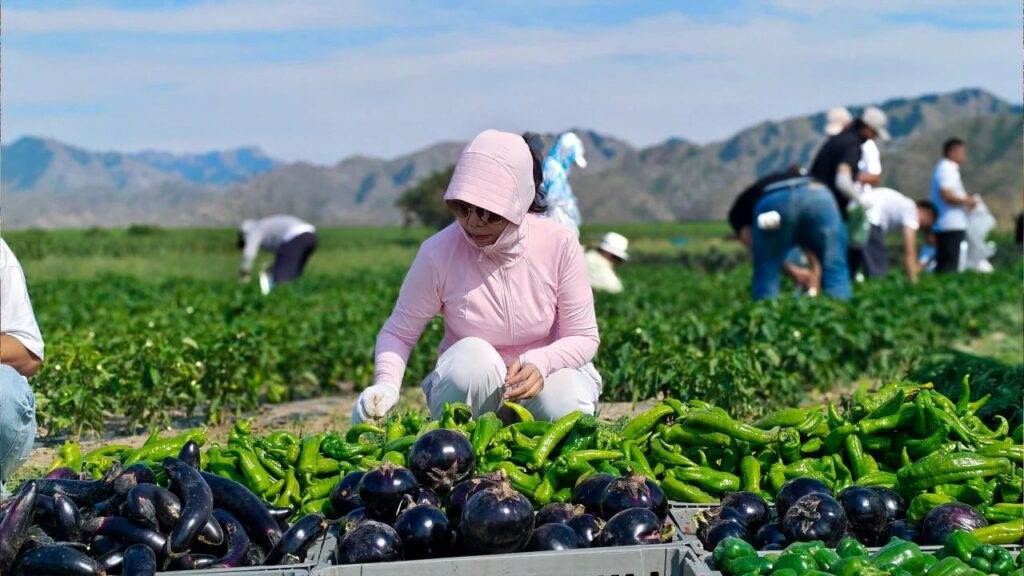 夏日最美群像 | w66国际·利来(中国)最给力的老牌物流2024年中团建特辑